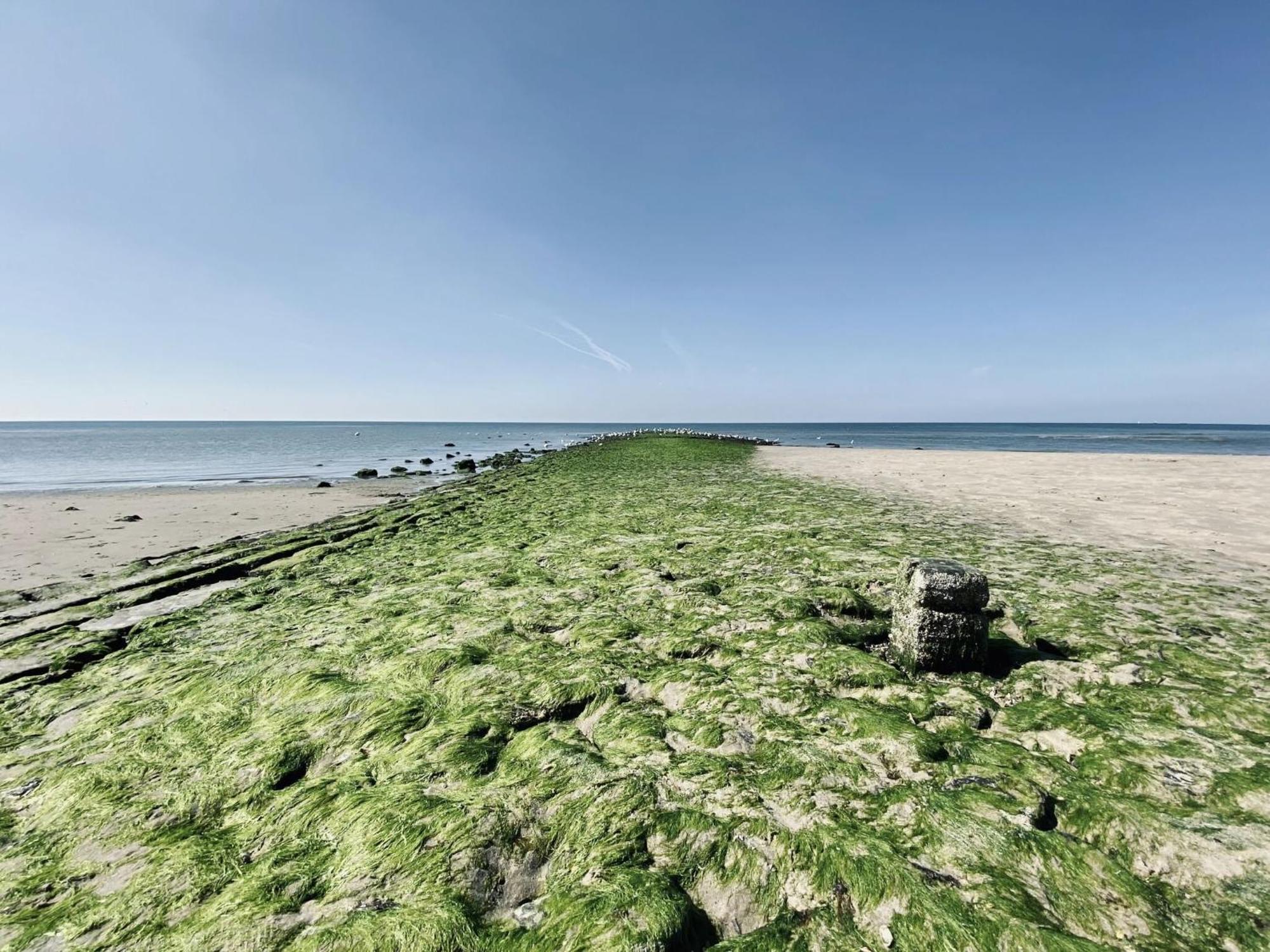 Unique Luxury Detached Holiday Home By The Sea Callantsoog Buitenkant foto